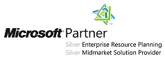 Logo_MS_Partner_Silver_-__min.jpg